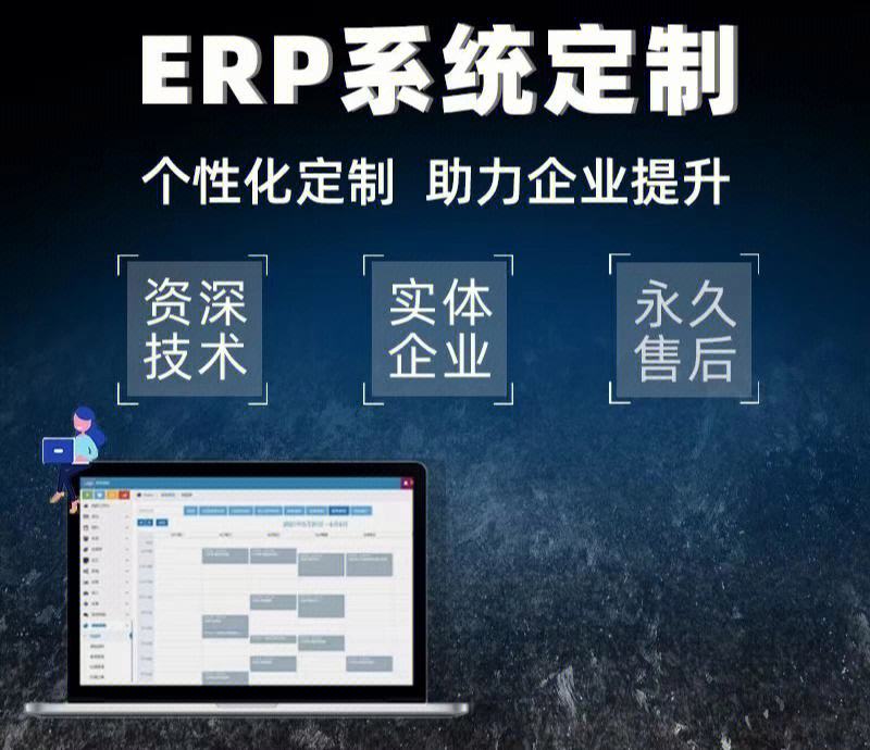 新余教育領域中，ERP如何支持學校設施和資源管理？